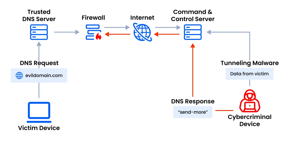 Tunnels Server Exploitation